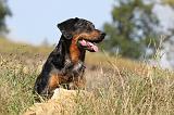 BEAUCERON 517